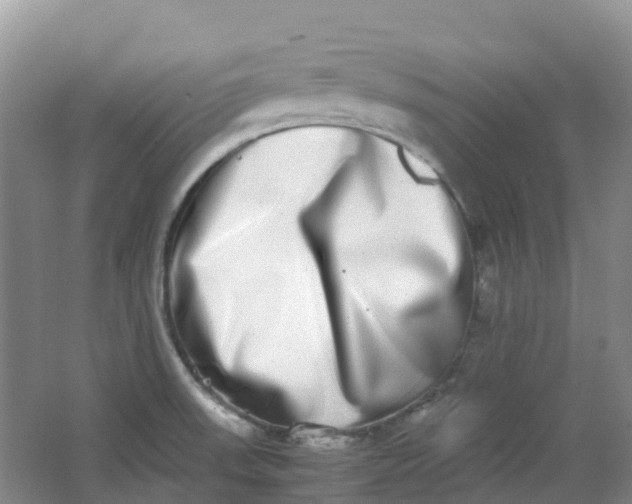 X0000062931523200601271818