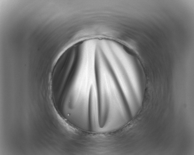 X0000062931524200601271819