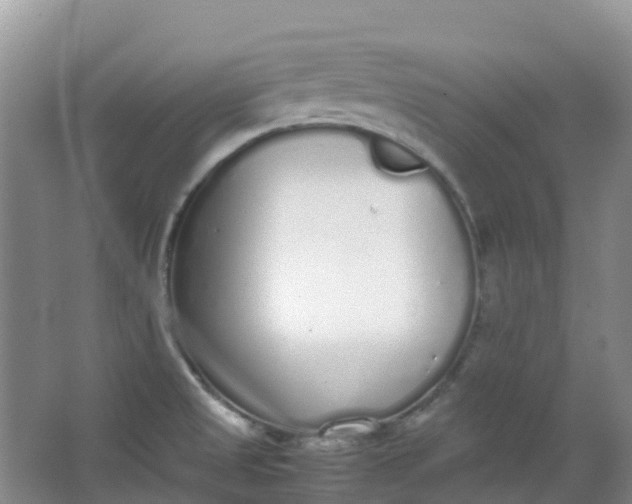 X0000062931525200601271819