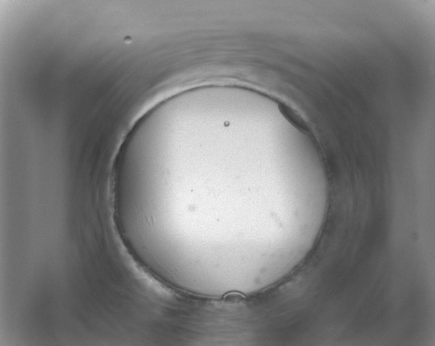 X0000062931526200601271819