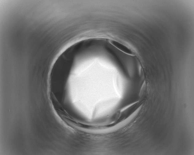 X0000062931528200601271819