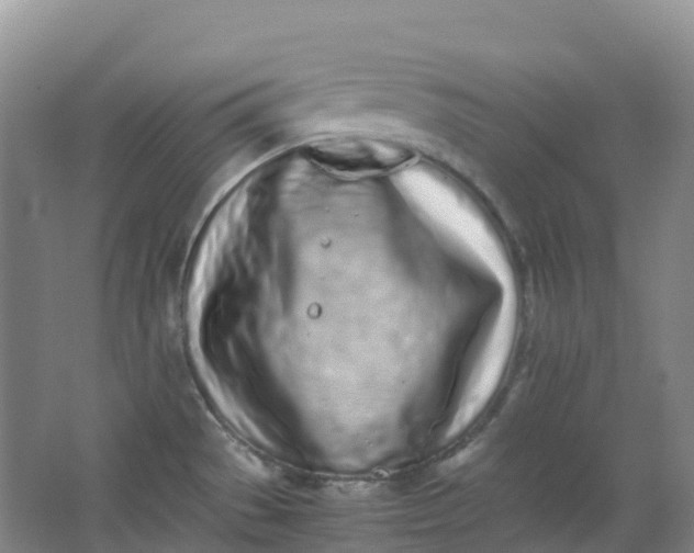 X0000062931529200601271819