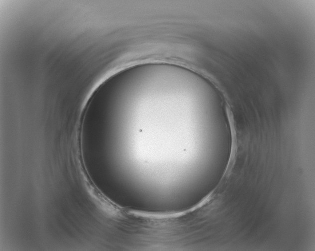 X0000062931530200601271819