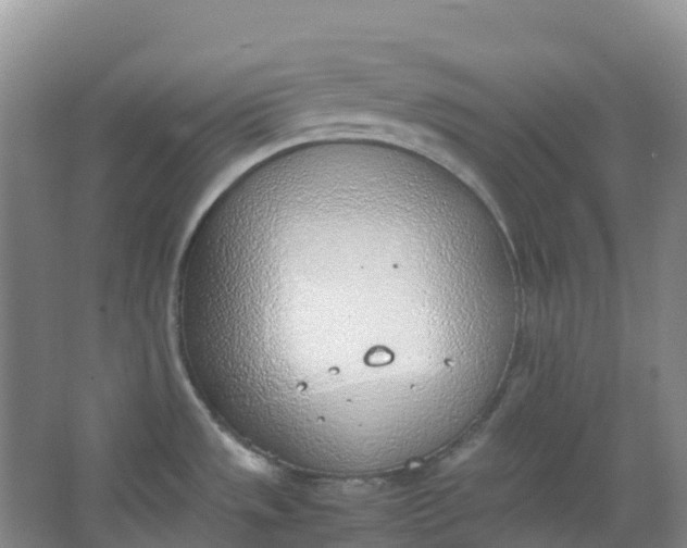 X0000062931533200601271819