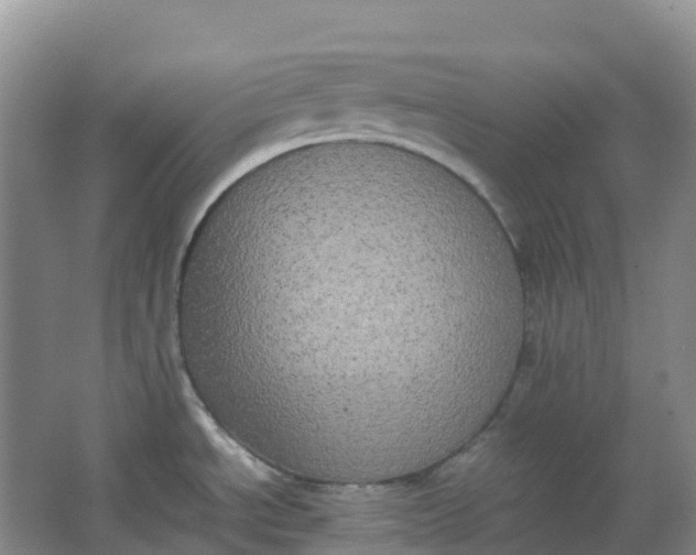 X0000062931534200601271819