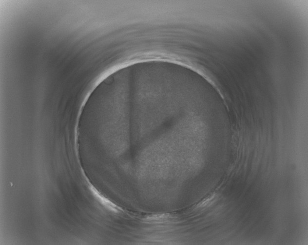 X0000062931535200601271819