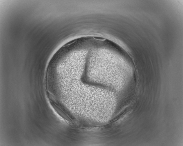 X0000062931536200601271819