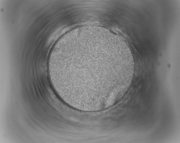 X0000062930002200602031958