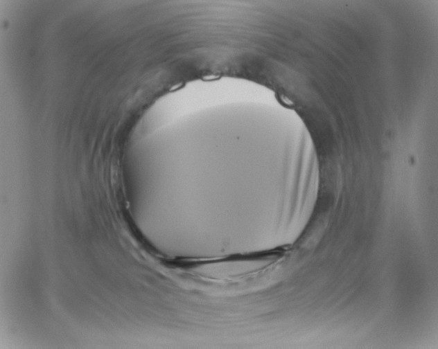 X0000062930039200602031958