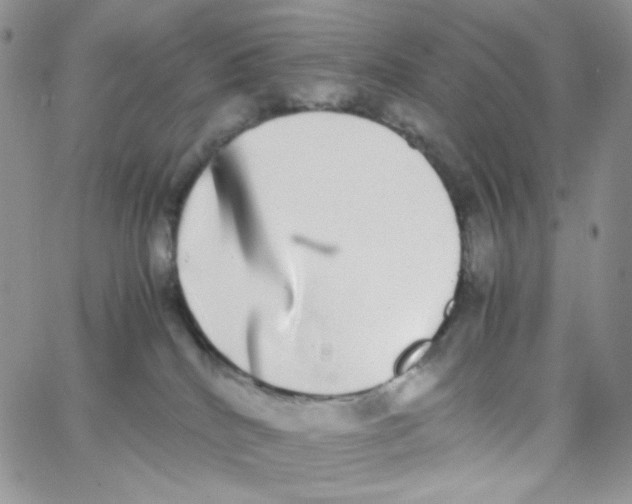 X0000062930040200602031958