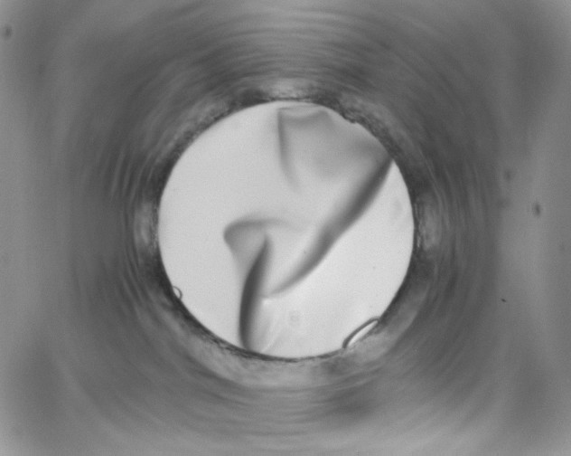 X0000062930044200602031957