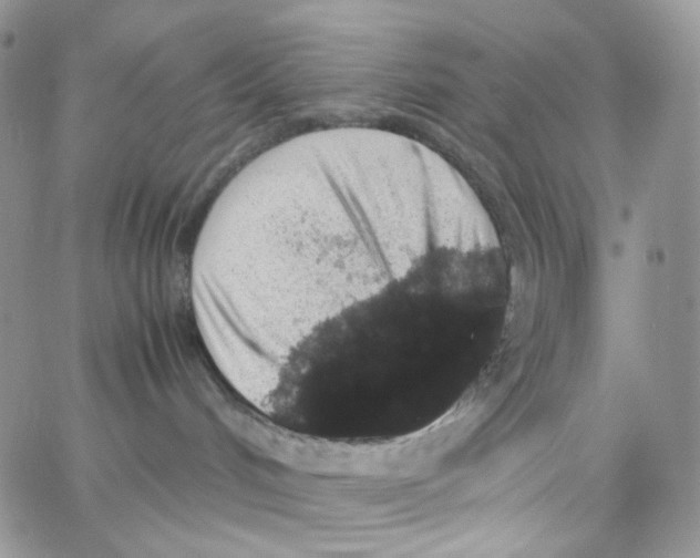 X0000062930048200602031957