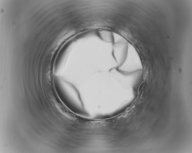 X0000062930050200602031957
