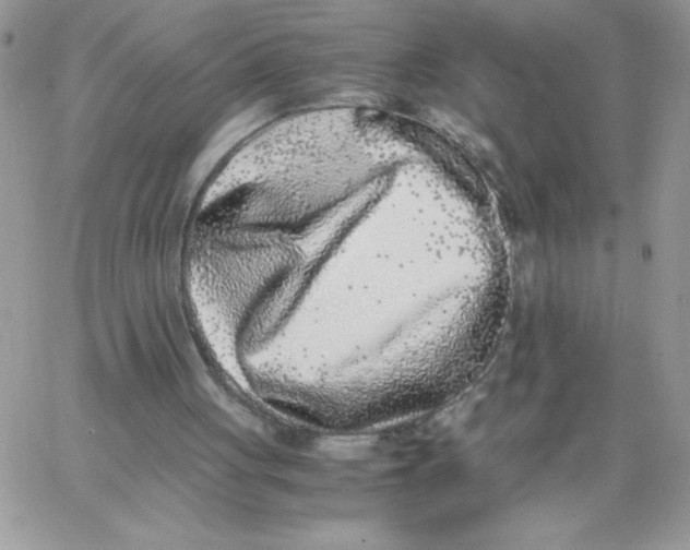 X0000062930051200602031957