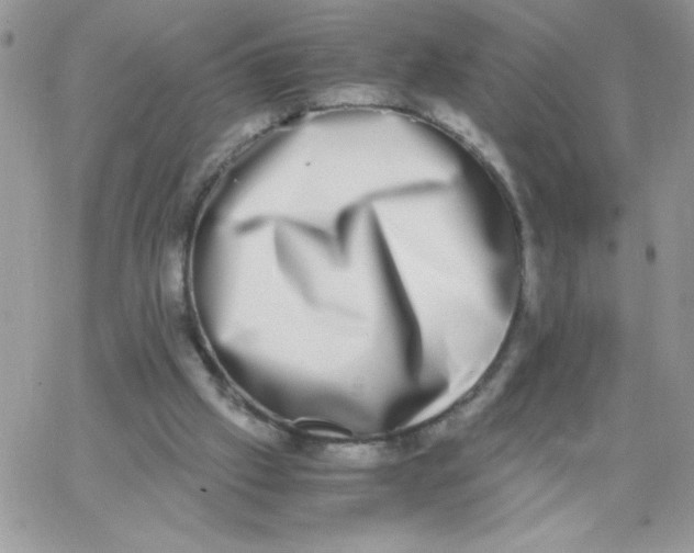 X0000062930057200602031957