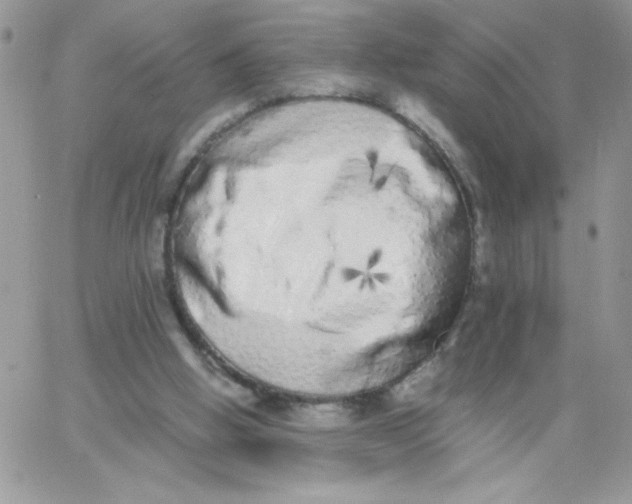 X0000062930058200602031957
