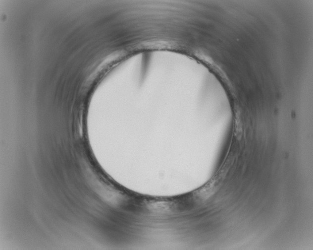 X0000062930062200602031957
