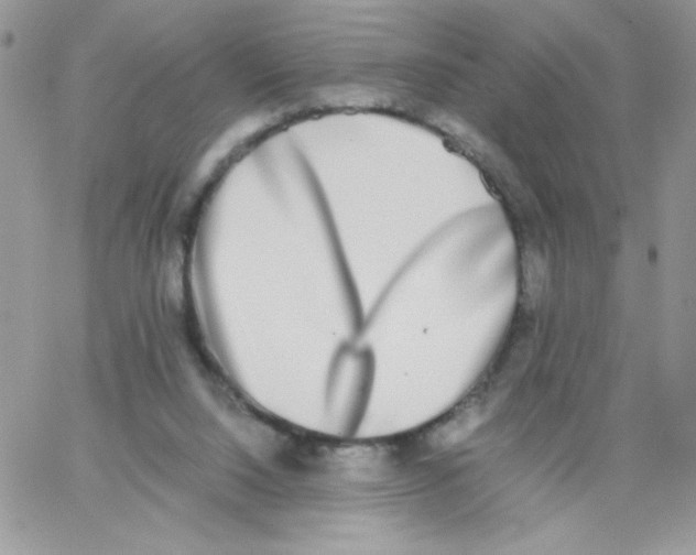 X0000062930064200602031957