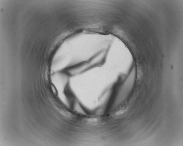 X0000062930068200602031957