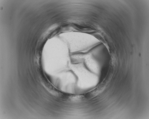 X0000062930072200602031957