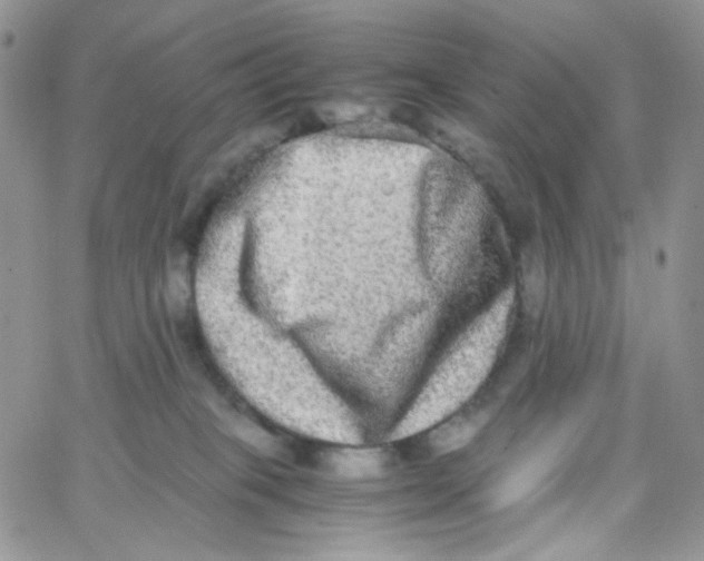 X0000062930085200602031957