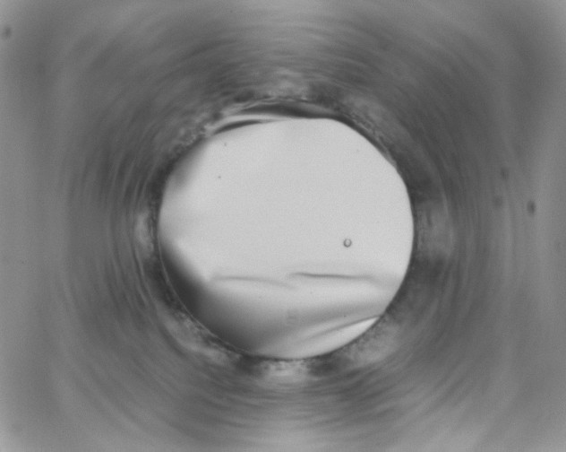 X0000062930088200602031957
