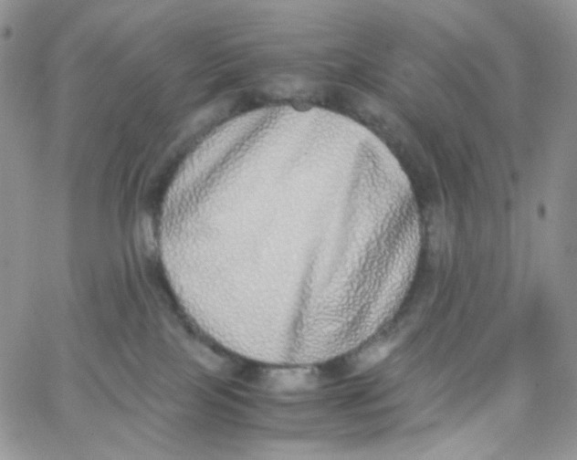 X0000062930089200602031957