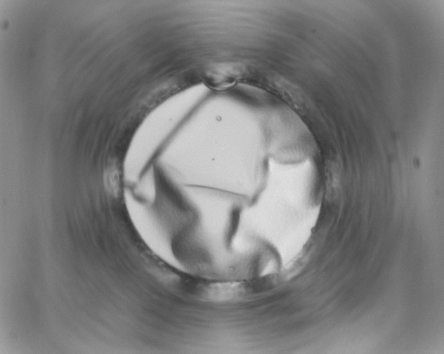 X0000062930090200602031957
