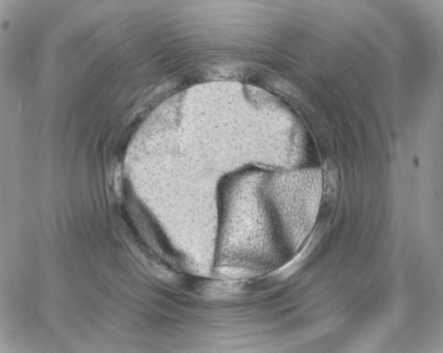 X0000062930094200602031957