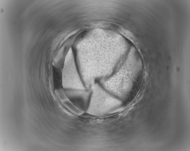 X0000062930097200602031957