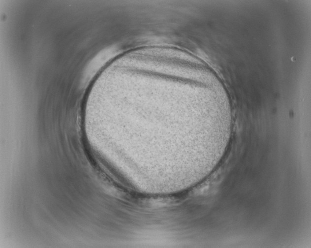 X0000062930103200602031956
