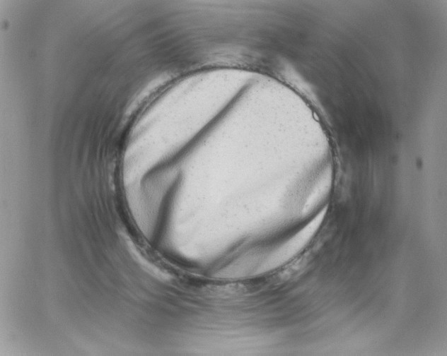 X0000062930106200602031956