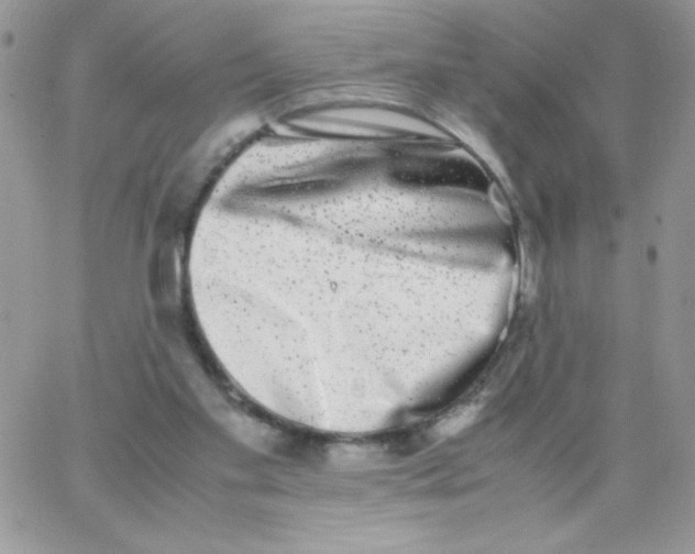 X0000062930109200602031956