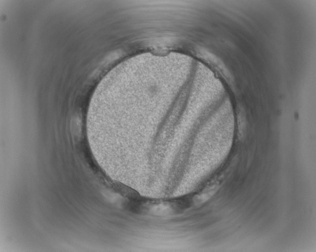 X0000062930113200602031956
