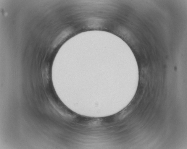 X0000062930116200602031956