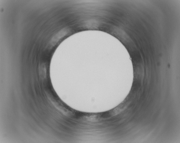 X0000062930120200602031956