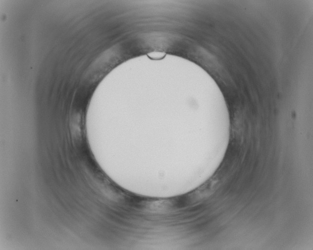 X0000062930122200602031956