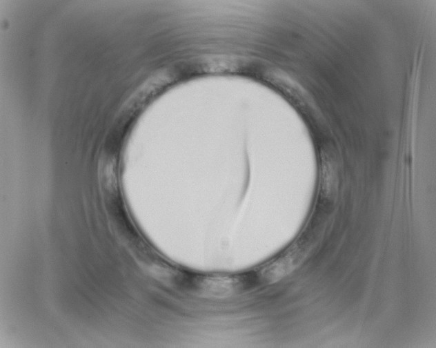 X0000062930123200602031956