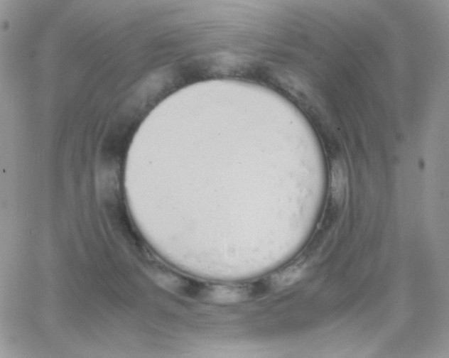 X0000062930127200602031956
