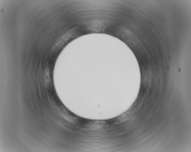 X0000062930128200602031956