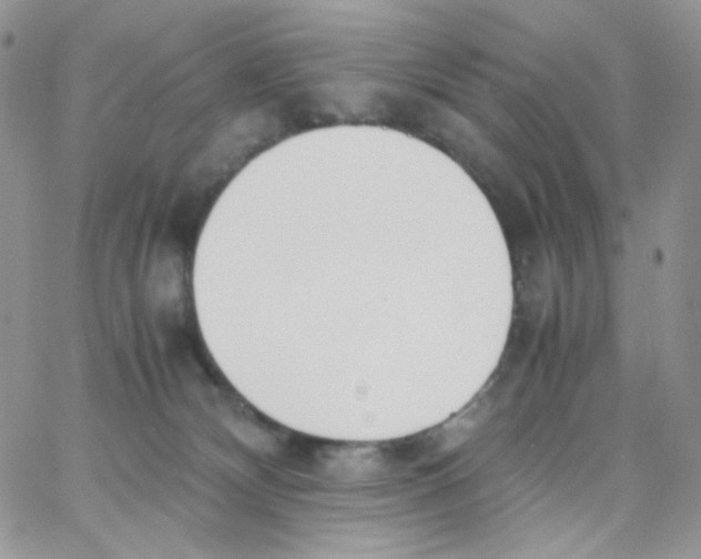 X0000062930132200602031956