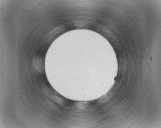 X0000062930136200602031956