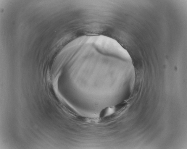 X0000062930143200602031956