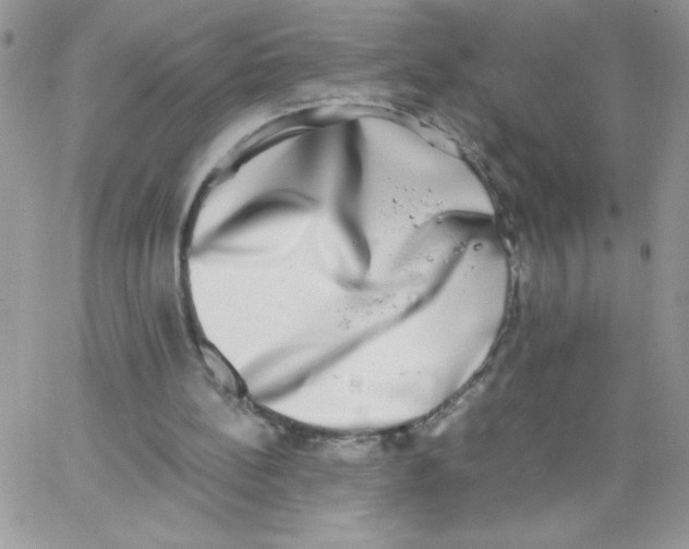 X0000062930148200602031955