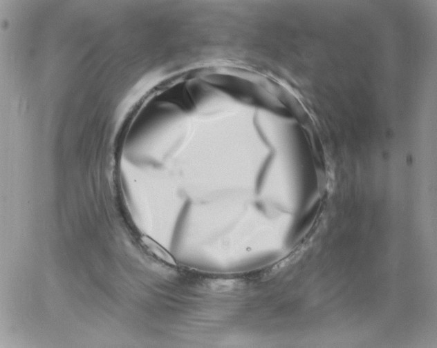 X0000062930152200602031955