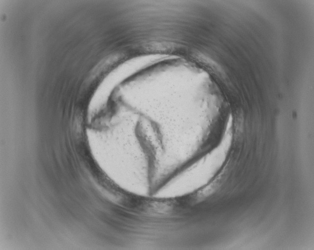 X0000062930166200602031955
