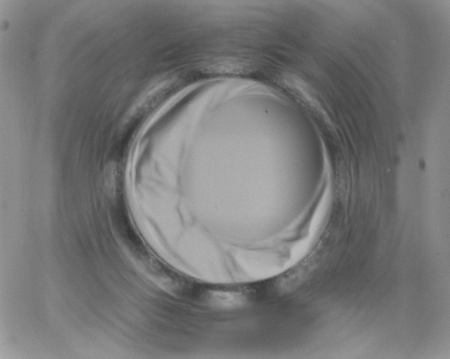 X0000062930167200602031955