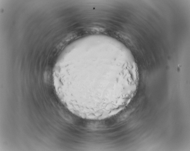 X0000062930177200602031956
