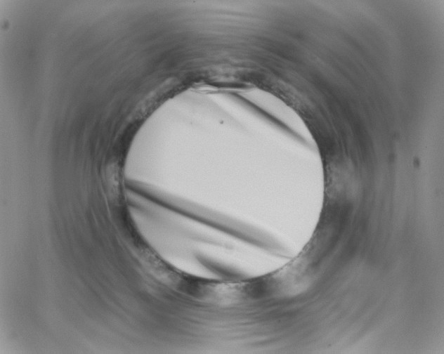 X0000062930184200602031956