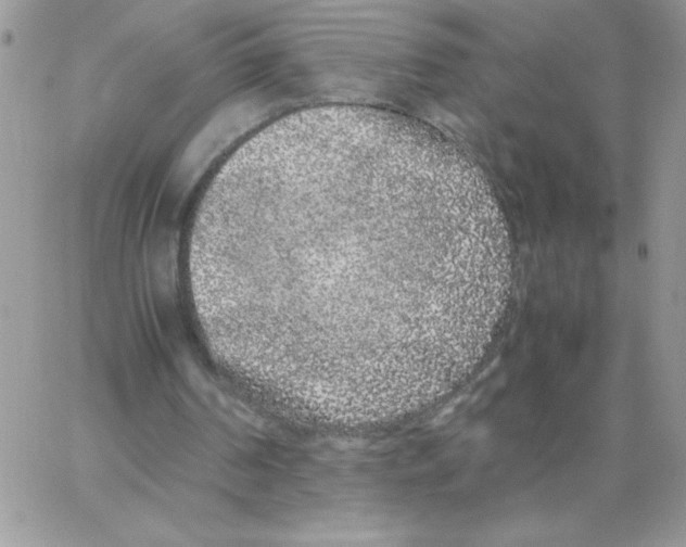 X0000062930194200602031955